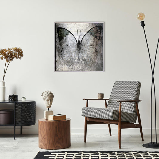 Canvas picture with shadow gap frame - Papilio 50x50cm