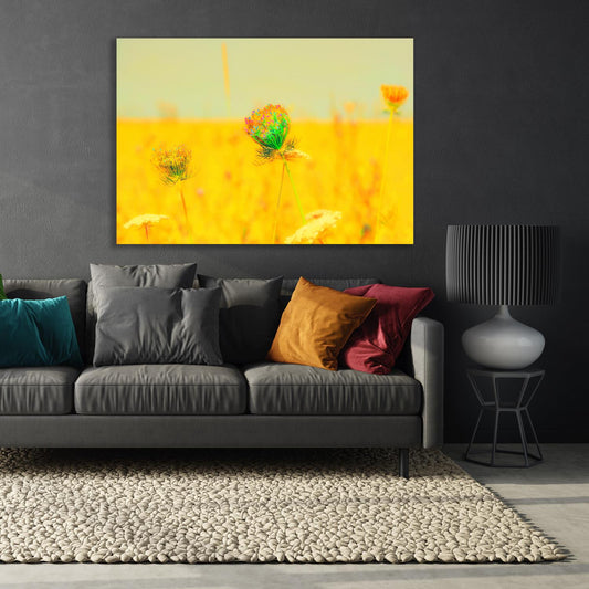 Acrylglasbild - Wilde Möhren Wohnbeispiel