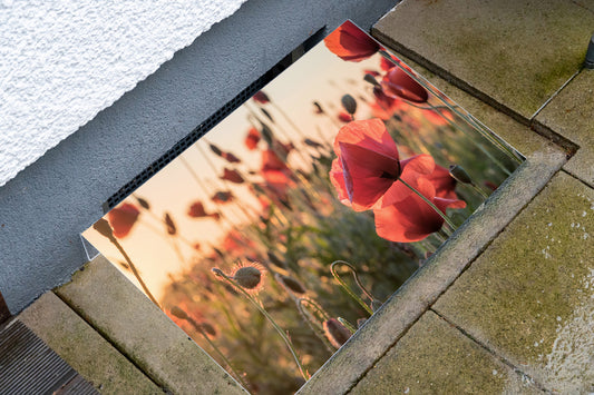 Lichtschachtabdeckung – Blumenwiese