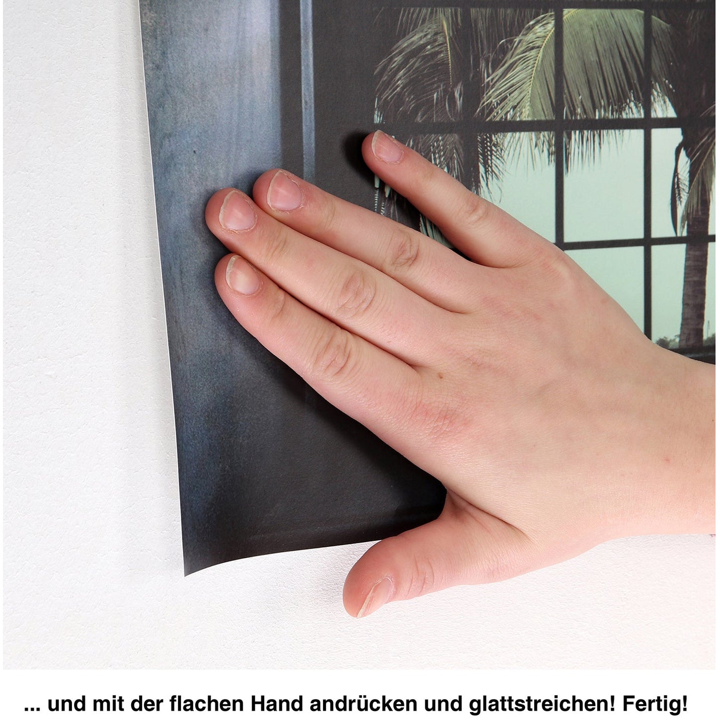 3D-Effekt - Aurora Detail