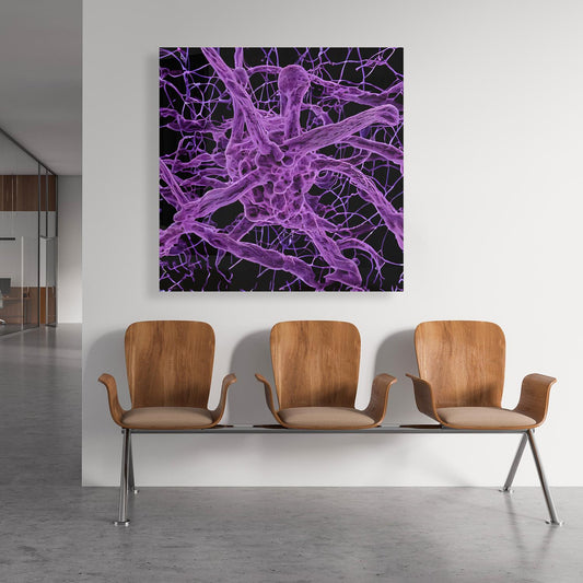 Medical Office Art - Bacteriophage - Einrichtungsbeispiel Foto