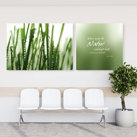Leinwandbild - Natur wahrhaft lieben 2 - Einrichtungsbeispiel Foto