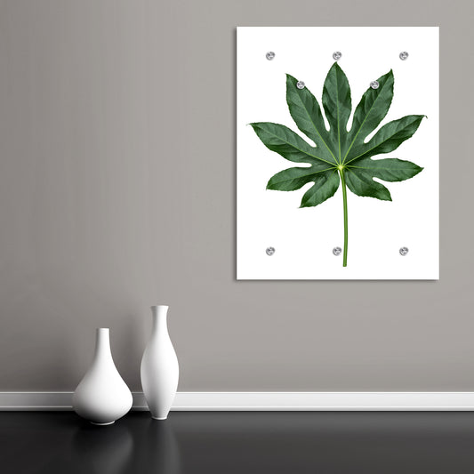 Garderobe - Planty Wohnbeispiel