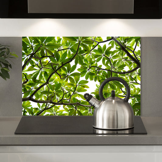 Spritzschutz - Green Tree Wohnbeispiel