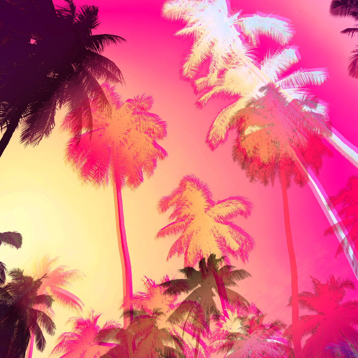 Acrylglasbild - Palms Pink