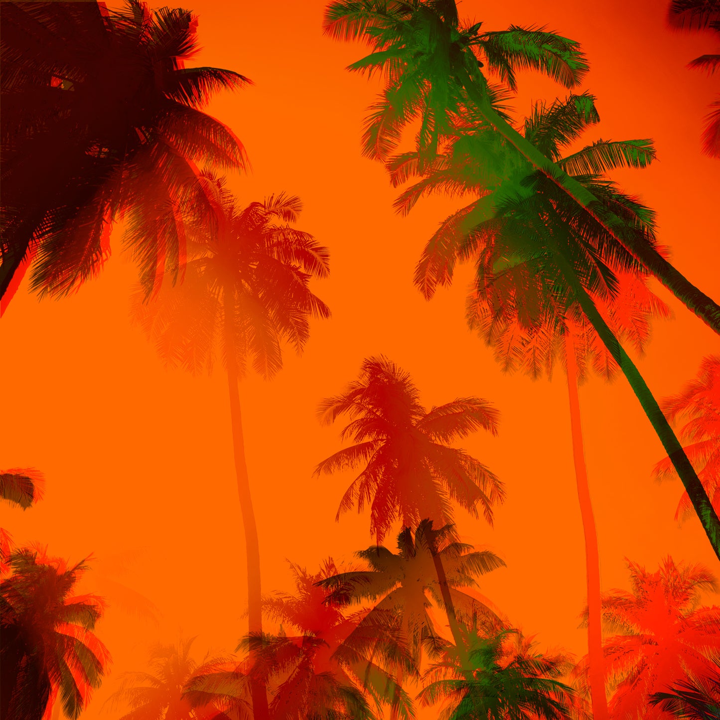 Acrylglasbild - Palms Orange