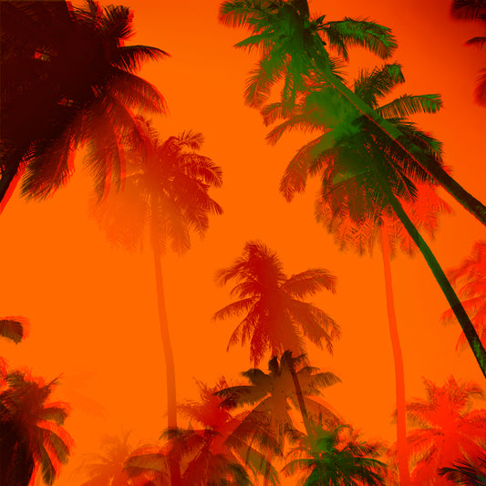 Acrylglasbild - Palms Orange