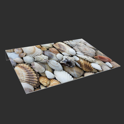 Lichtschachtabdeckung – Muscheln