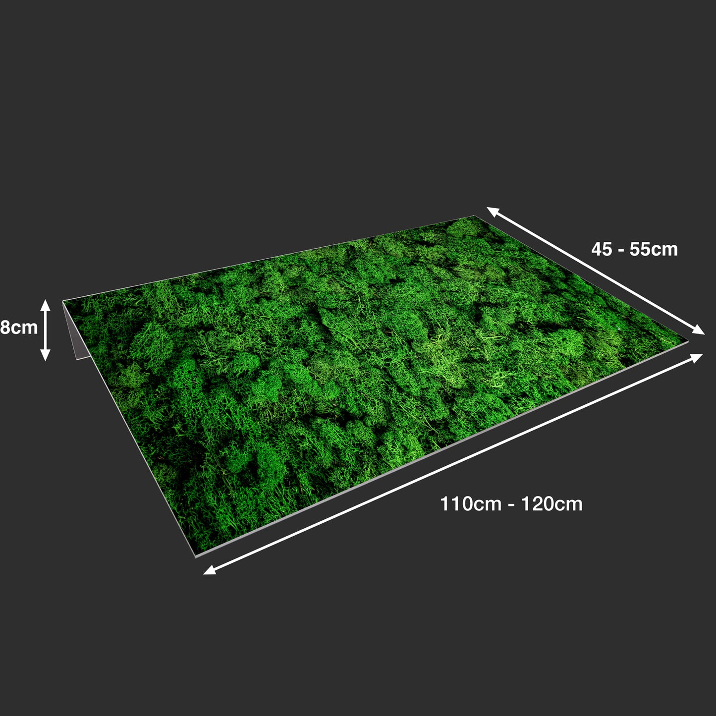 Lichtschachtabdeckung – Moos