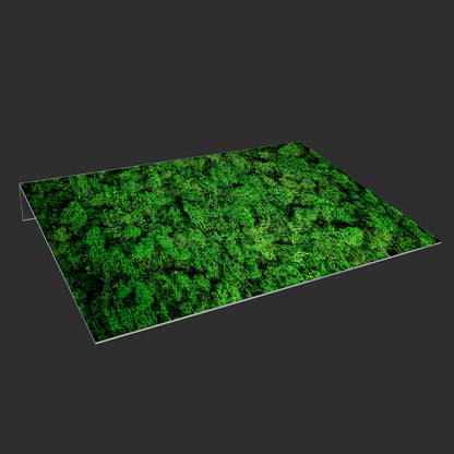 Lichtschachtabdeckung – Moos