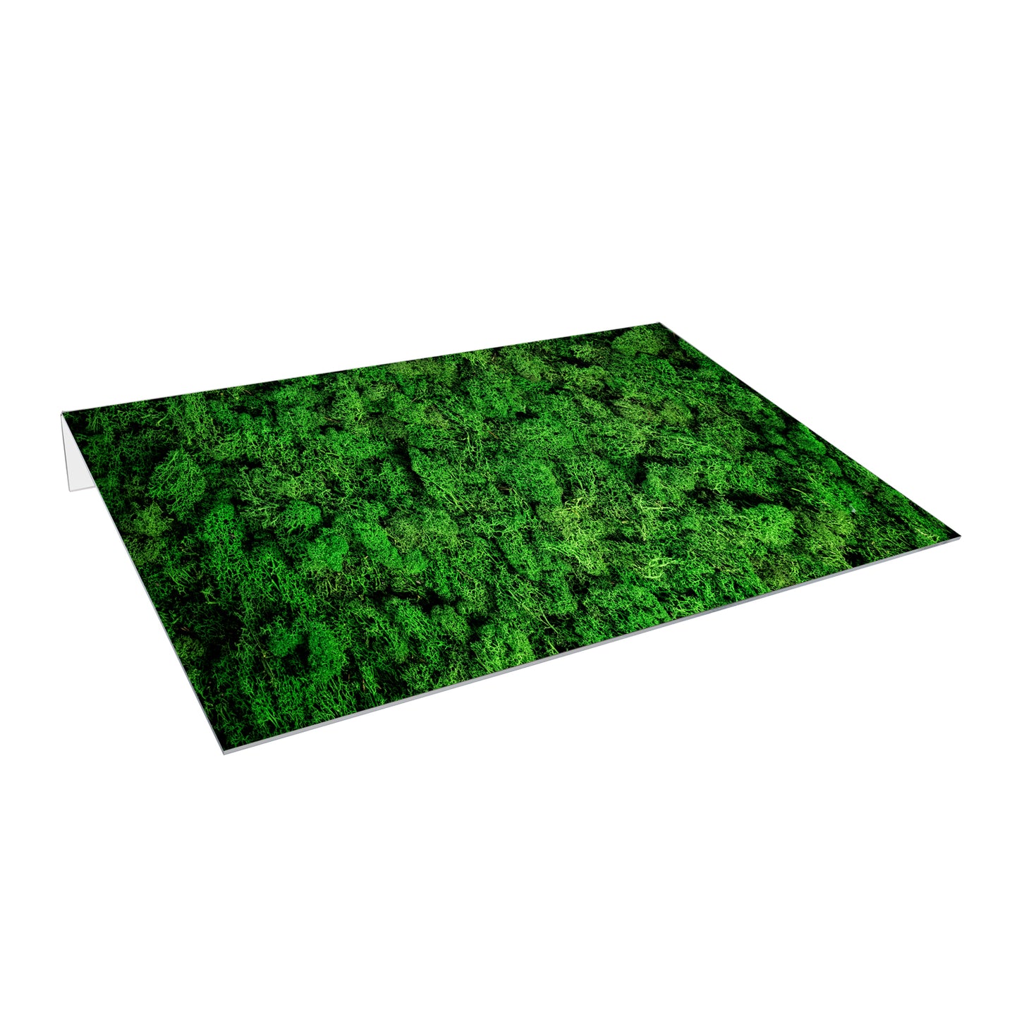 Lichtschachtabdeckung – Moos