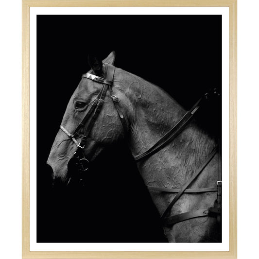 Rahmenbild - Pferdeportrait Schwarz Weiß