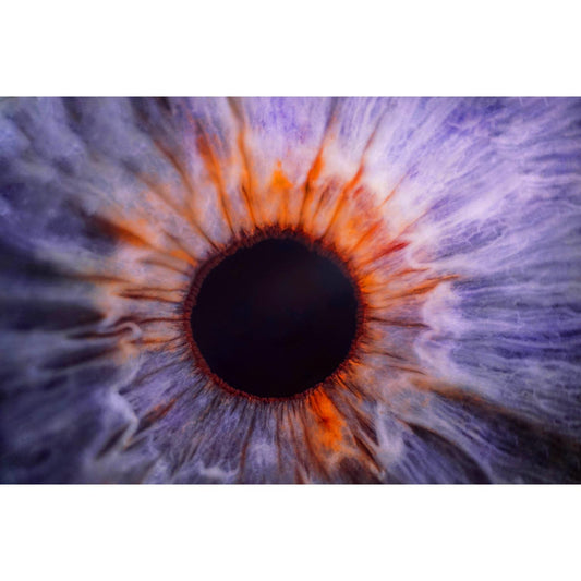 Medical Office Art - COLORED EYE  MACRO IRIS