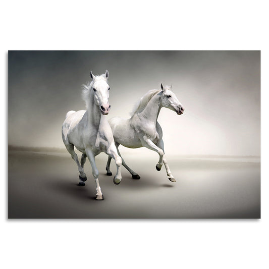 Acrylglasbild - White Mares