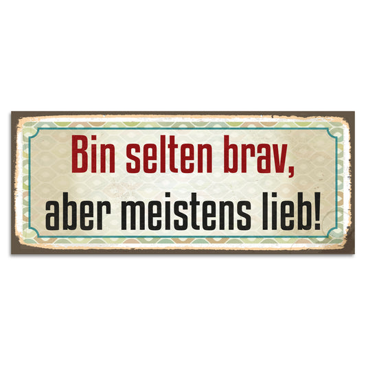 Blechschild - Bin selten brav, aber meistens lieb!