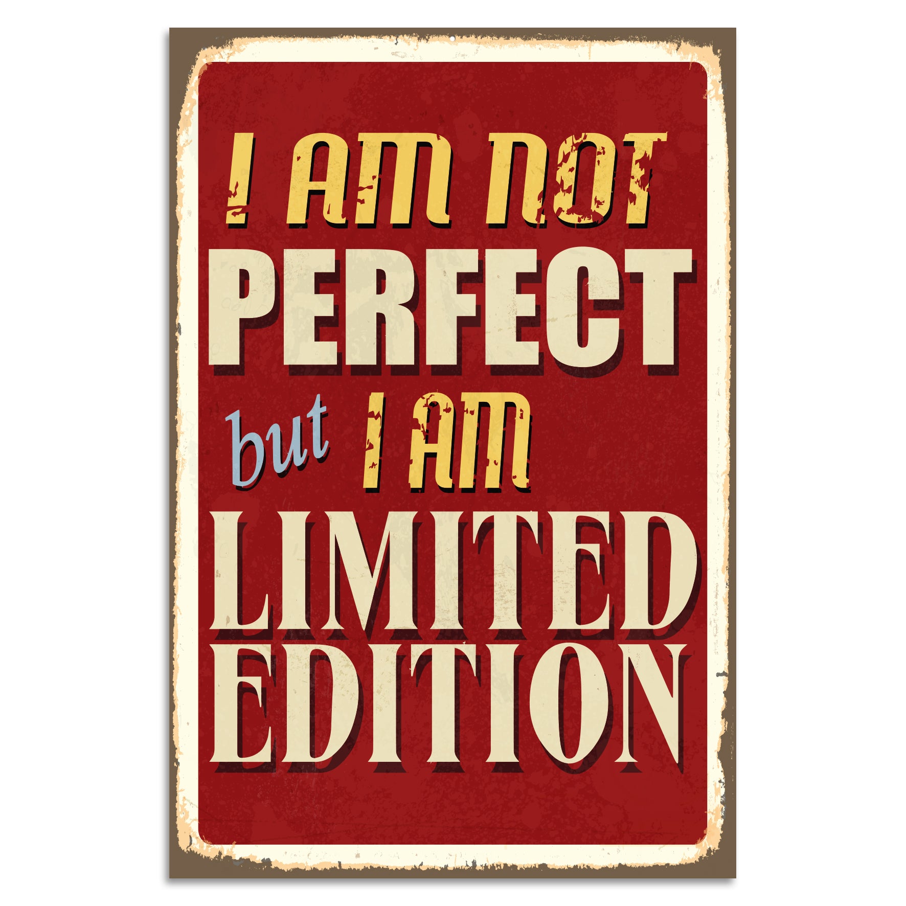 Blechschild - I am Not Perfect But I am Limited Edition