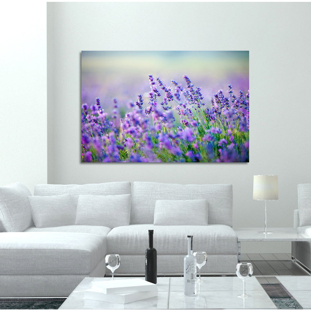 Acrylglasbild - Lavender Wohnbeispiel