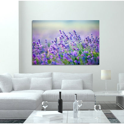 Acrylglasbild - Lavender Wohnbeispiel