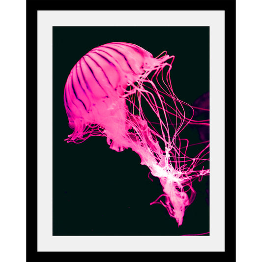 Rahmenbild - Neon Jelly FIsh