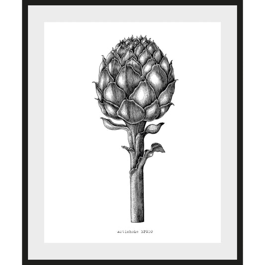 Rahmenbild - Artichoke