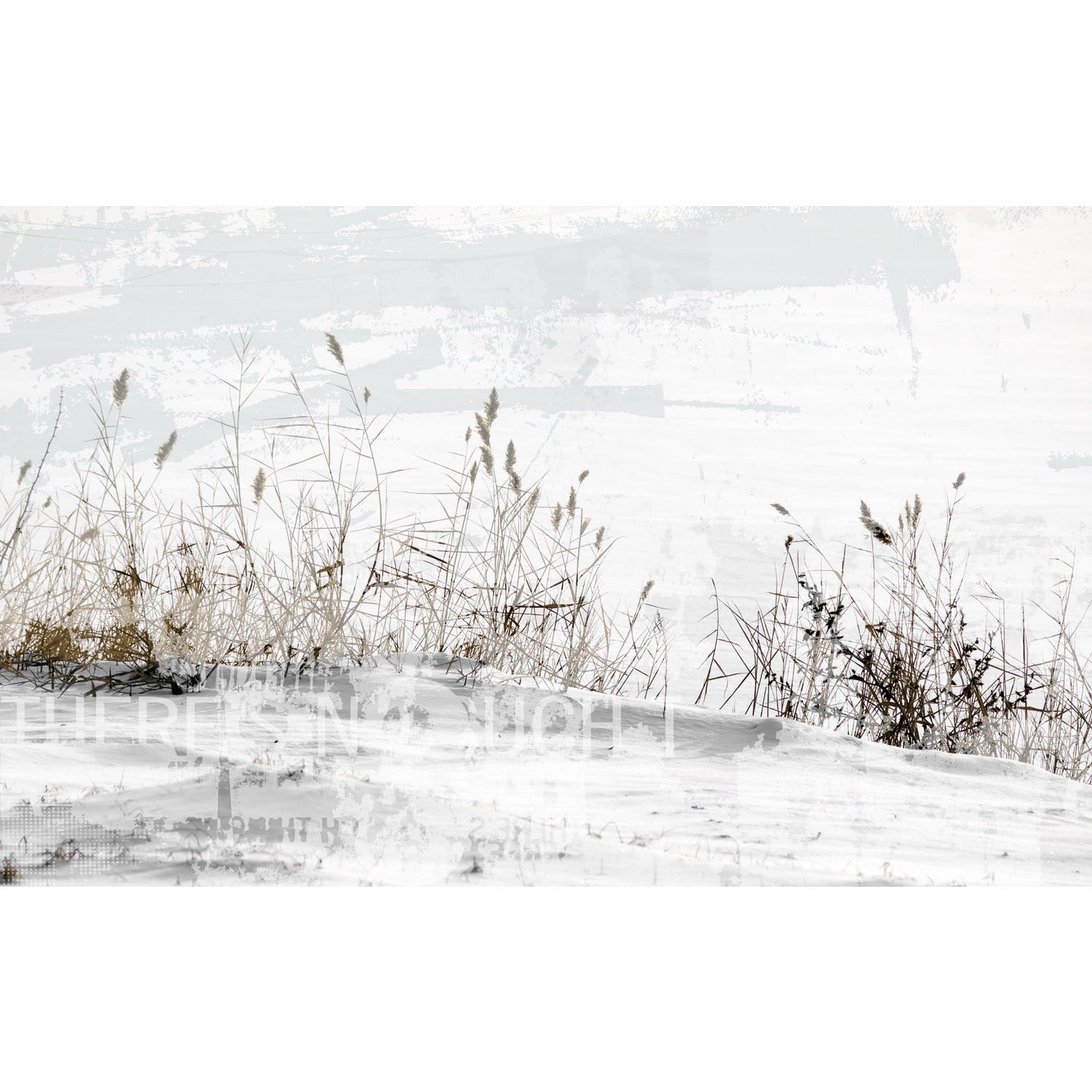 Leinwandbild - Jolie