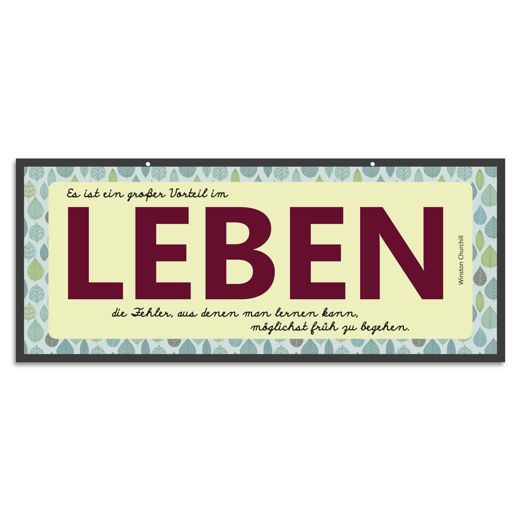 Blechschild - Es ist ein großer Vorteil im LEBEN die Fehler, aus denen man lernen kann, möglichst frü