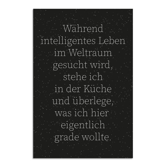 Blechschild - Während intelligentes Leben im Weltraum